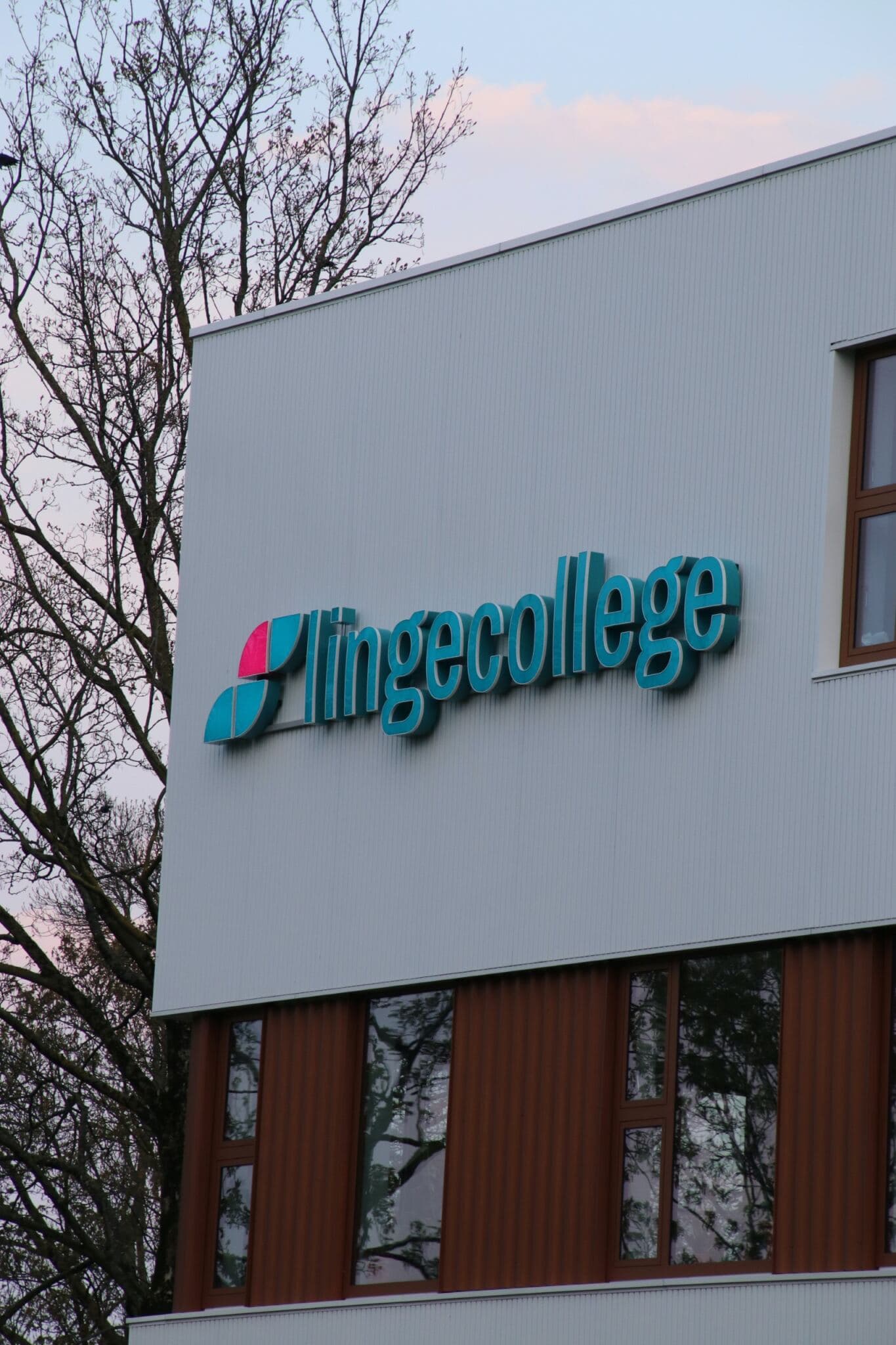 Toekomstcoaches tegen schooluitval