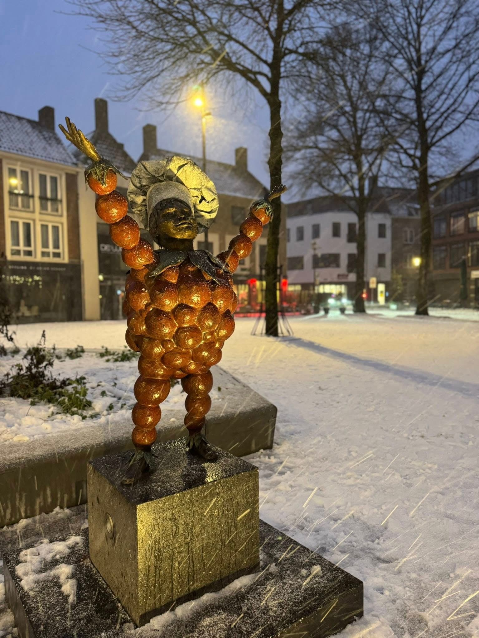 Erfgoed van groot belang - foto 2